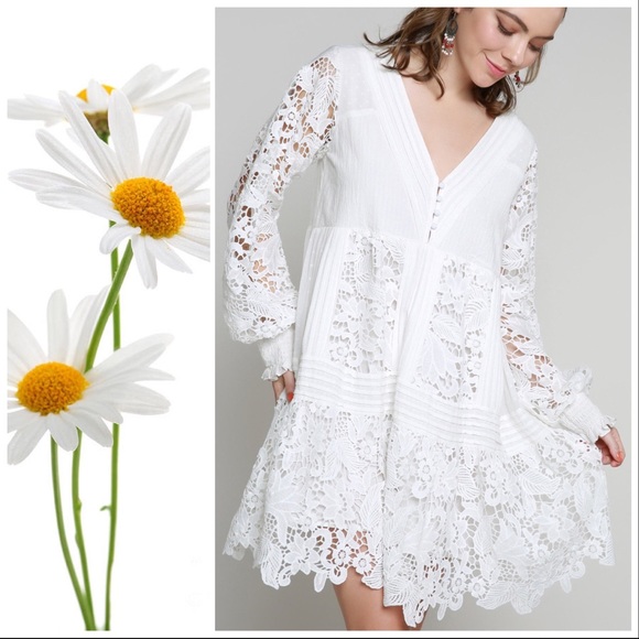 Romance Lovely in Lace White Mini Dress - Picture 5 of 10